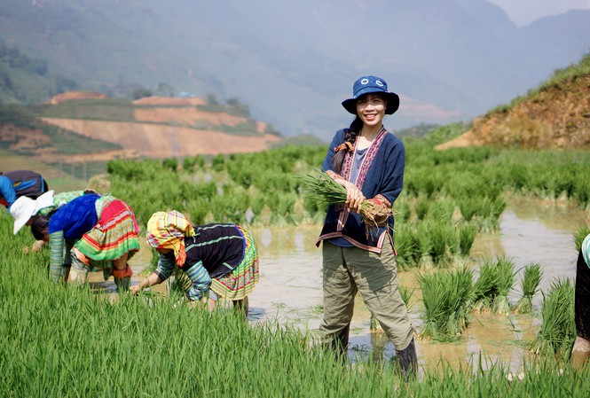 Đánh thức những giấc mơ điền viên