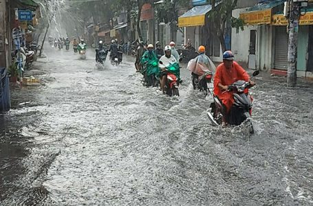 Các tỉnh phía Đông Bắc bộ và Bắc Trung bộ chiều tối có mưa giông rải rác, cục bộ có mưa vừa, mưa to. Trong mưa giông có khả năng xảy ra lốc, sét, mưa đá và gió giật mạnh
ẢNH: T.N