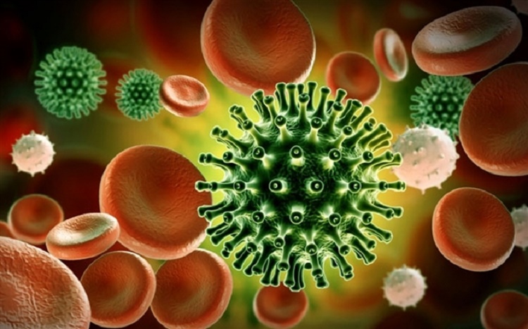 đồ họa về virus SARS-CoV-2