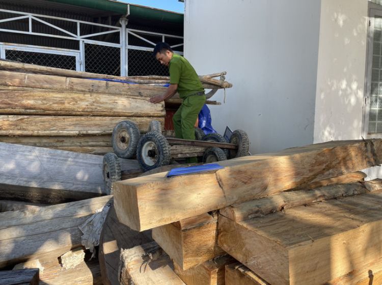  Lại phát hiện vụ phá rừng lớn, thu gần 40m3 gỗ ở Đắk Lắk