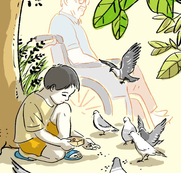  Truyện ngắn: Bầy chim câu trong hẻm nhỏ