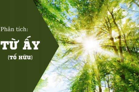 Top 7 bài văn phân tích tác phẩm Từ ấy hay nhất