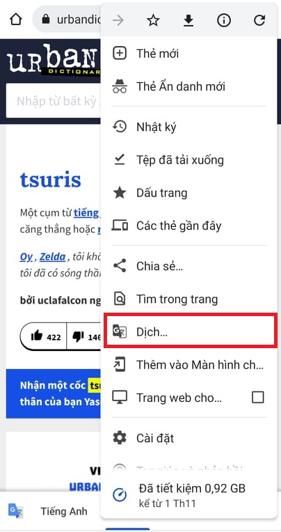 dịch urban Dictionary
