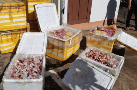Đắk Lắk phát hiện lô thịt lợn, tuỷ dê hơn 400kg bốc mùi hôi thối