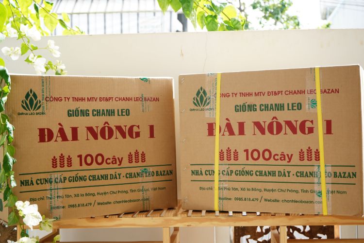 chanh dây giống
