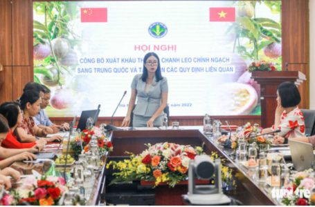 giá chanh dây